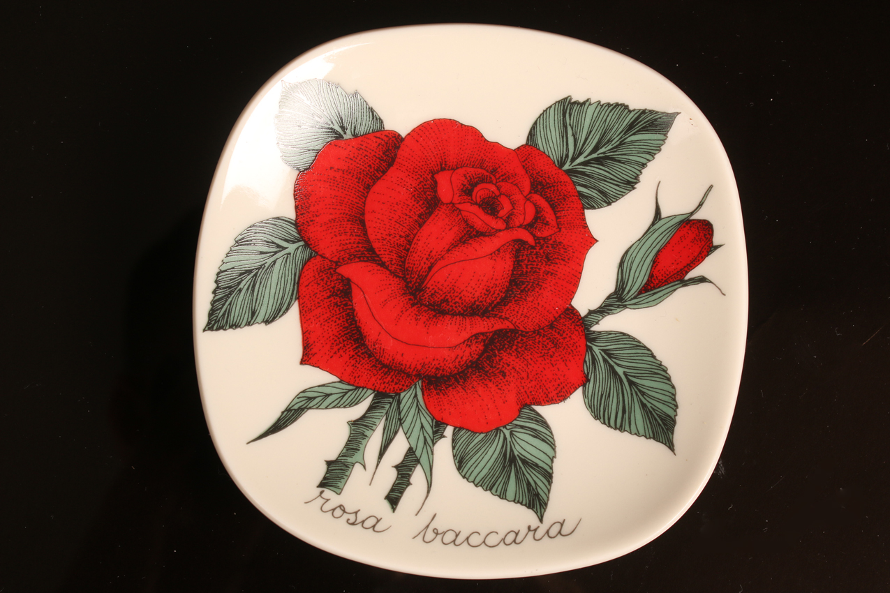 Sein�lautanen, Arabia, Rosa baccara